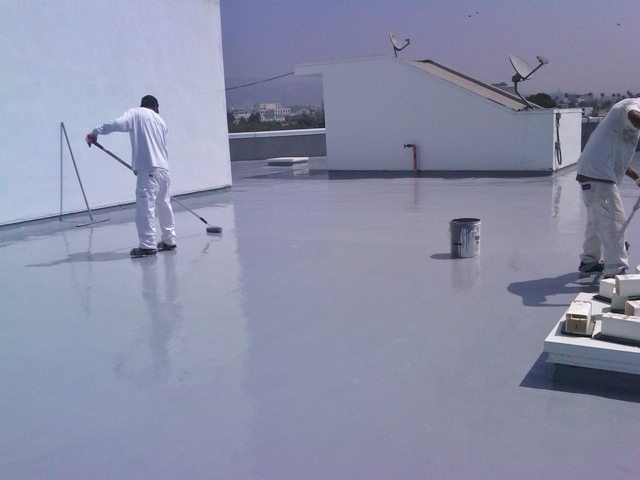 ElastoGreen Roof